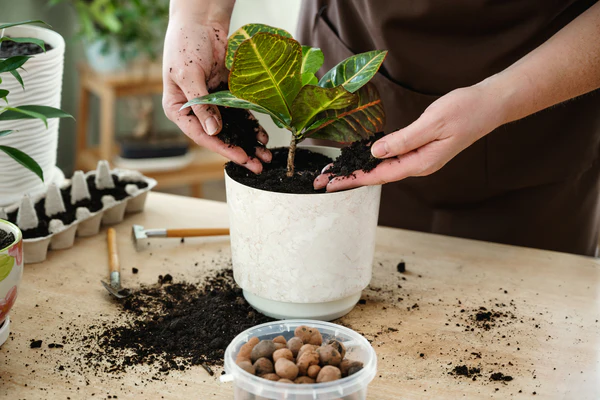 Preparing planters with soil and pebbles